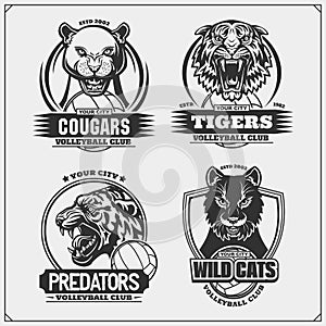 Volleyball badges, labels and design elements. Sport club emblems with cougar, wildcat and tiger. Print design for t-shirt.