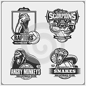 Volleyball badges, labels and design elements. Sport club emblems with lion, cobra, raptor dinosaur and scorpion.