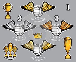 Volleyball balls with wings cups and crown. Vector set of sport logo for any team
