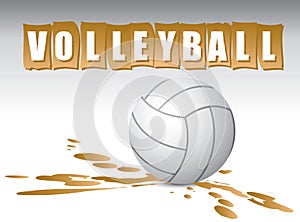 Volleyball banner