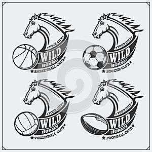 Volleyball, baseball, soccer and football logos and labels. Sport club emblems with horse.