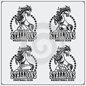 Volleyball, baseball, soccer and football logos and labels. Sport club emblems with horse.