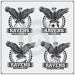 Volleyball, baseball, soccer and football logos and labels. Sport club emblems with raven.