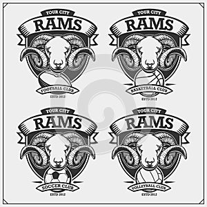 Volleyball, basketball, football and soccer emblems with rams. Design elements for sport club. Print design for t-shirts.