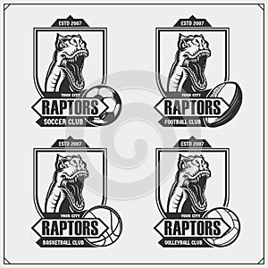 Volleyball, basketball, soccer and football logos and labels. Sport club emblems with raptor dinosaur. Print design for t-shirts.