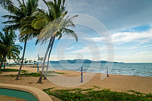 Volleyball field on the beach with coconut trees in Townsville, Australia