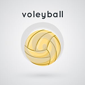 Volleyball isolated on light background