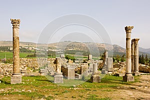 Volubilis Capitol