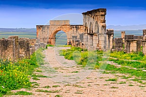 Volubilis, Morocco.