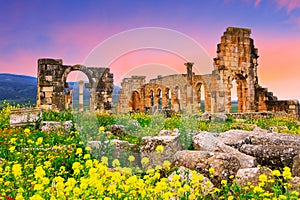 Volubilis, Morocco.