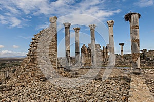 Volubilis in Morocco, columns and Ruins of the Roman City Volubilis