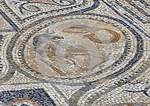 Volubilis mosaic featuring Hercules 4th labor, Capture the Erymanthian Boar.