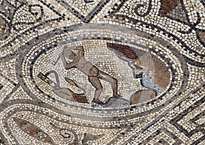 Volubilis mosaic featuring Hercules 5th labor, Clean the Stables of King Augeas.