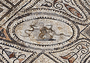 Volubilis mosaic featuring little Hercules strangling the snakes sent by Hera into his crib to kill him.