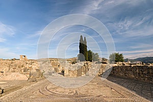 Volubilis mosaic, Morocco