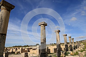 Volubilis, a UNESCO World Heritage Site home to Morocco’s best-preserved Roman ruins.