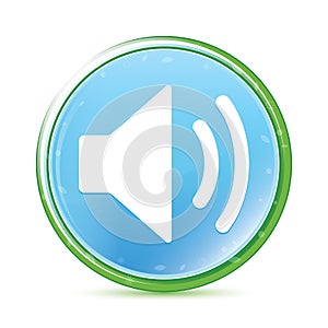 Volume speaker icon natural aqua cyan blue round button