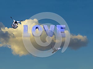 Love pigeons 3d