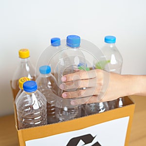 Volunteer keep plastic bottle into paper box at home or office. Hand Sorting Recycle garbage. Ecology, Environmental, pollution,