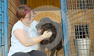 Volunteer in the nursery for dogs