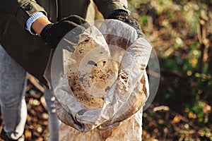 Volunteer picking up dirty plastic bottles in park. Woman hand in glove picking up trash, collecting garbage in bag. Cleaning up