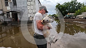 Volunteer rescue scared and skinny dog after detonation of Kakhovka Hydroelectric Power Station. Consequences of the