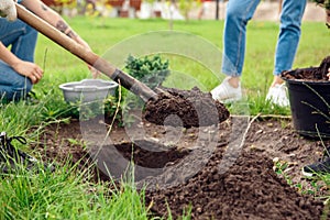 Volunteering. Young people volunteers outdoors planting together digging ground close-up