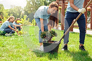 Volunteering. Young people volunteers outdoors planting trees boy helping girl digging plant from pot happy close-up