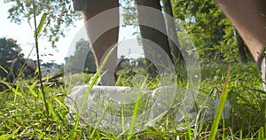Volunteers collect plastic in a public park.