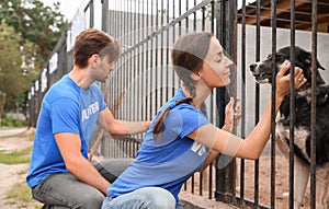 Volunteers near dog cage at animal shelter