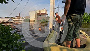 Volunteers rescue cat from the water after detonation of Kakhovka Hydroelectric Power Station. Consequences of the