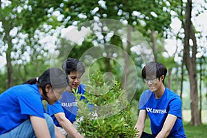 Volunteers of various nationalities are showing solidarity by sacrificing their personal time by planting trees to