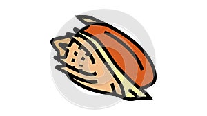 volute sea shell beach color icon animation