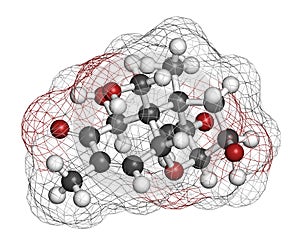 Vomitoxin (deoxynivalenol, DON) mycotoxin molecule. 3D rendering. Atoms are represented as spheres with conventional color coding