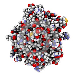 Von Willebrand factor A3 domain. Defects and deficiencies cause bleeding diseases. 3D rendering. Atoms are represented as. photo