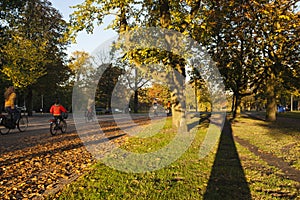 Vondelpark in Amsterdam