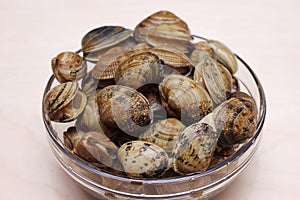 Vongole clams are ready for cooking. Fresh clams