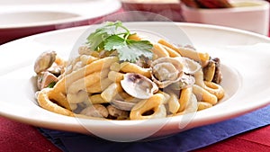 Vongole pasta in a white plate with hot steam. Fresh lunch in a traditional Italian restaurant thick pasta with clams