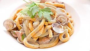 Vongole pasta in a white plate with hot steam. Fresh lunch in a traditional Italian restaurant thick pasta with clams