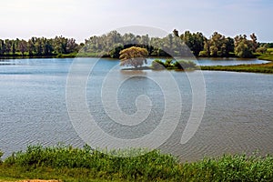 Floodplains of the River The Waal near Nijmegen photo