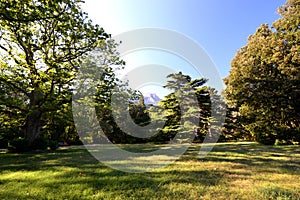 Vorontsov Park in Alupka