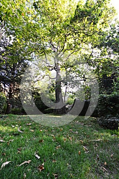 Vorontsov Park in Alupka