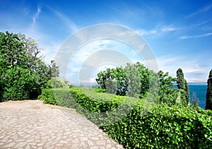 Vorontsov's park in summer