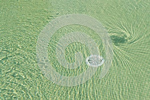 Vortex in swimming pool