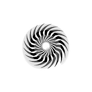 vortex vector illustration icon