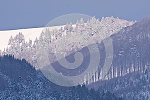 Vosges mountains in winter, France