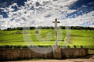 Borgundy. Vineyards Vosne RomanÃÂ©e