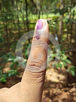 Voted in election