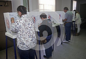 Voters and voting booths in a polling place