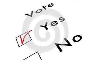 Voting ballot, on white